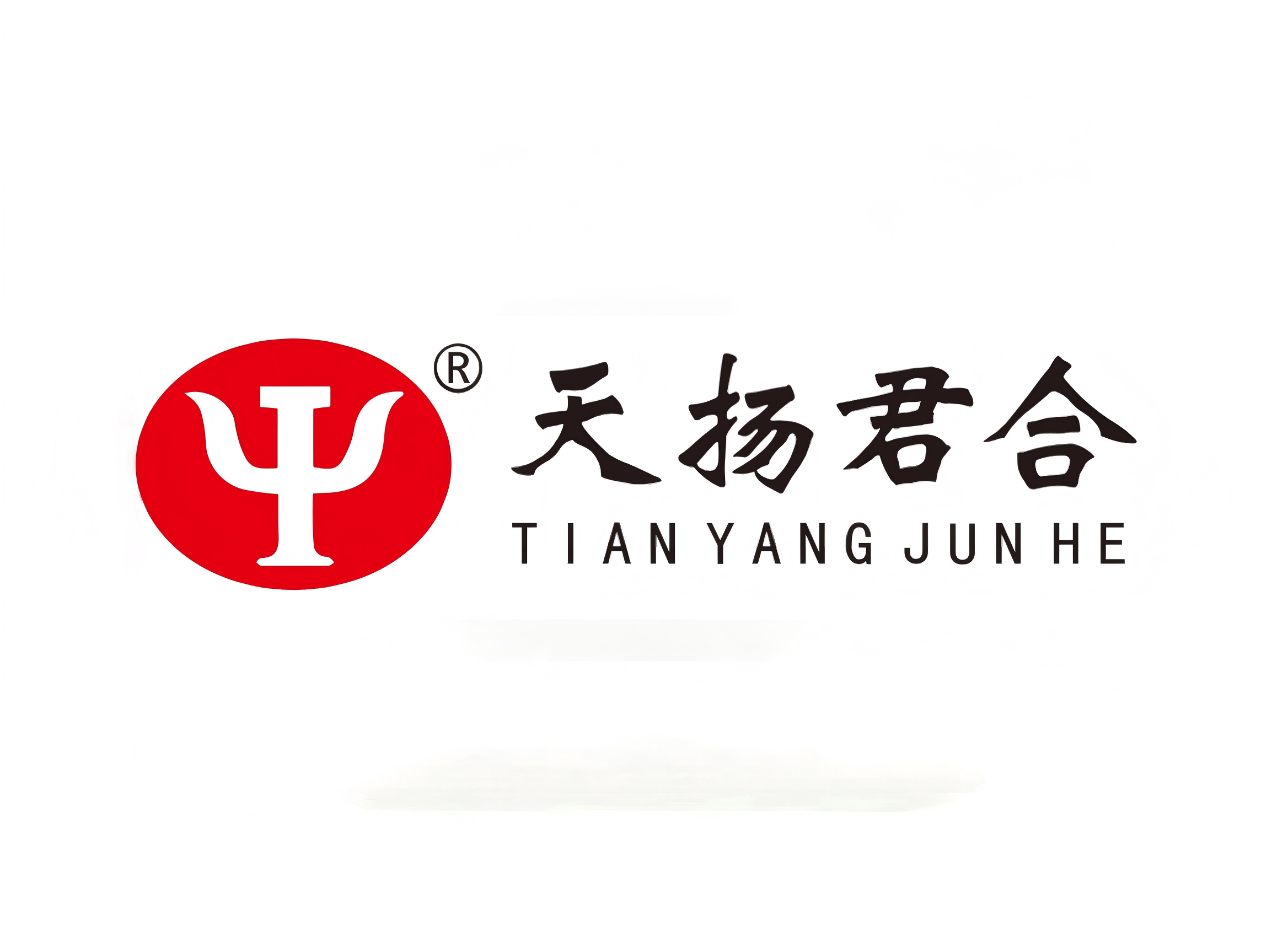 天扬君合信息科技